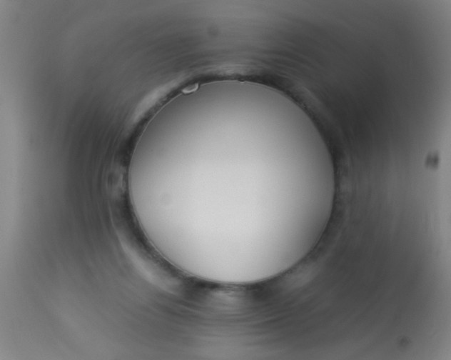 X0000114170164200910221659