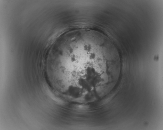 X0000114170165200910221659