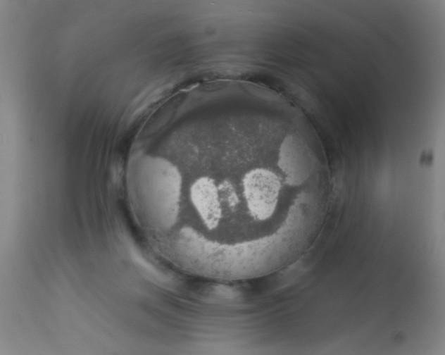 X0000114170166200910221659