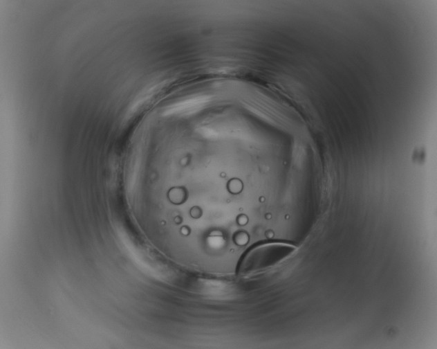 X0000114170167200910221659