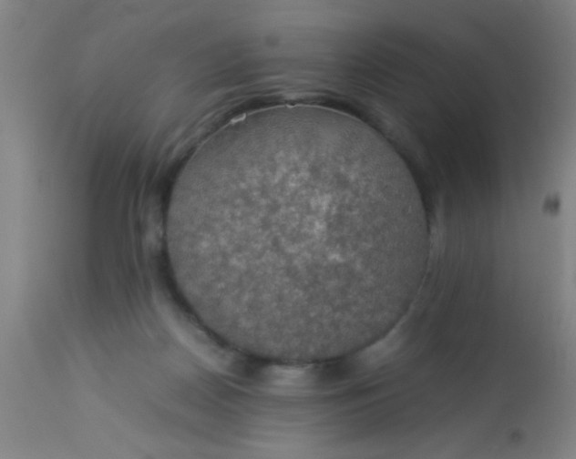 X0000114170170200910221659