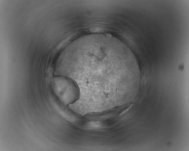 X0000114170171200910221659