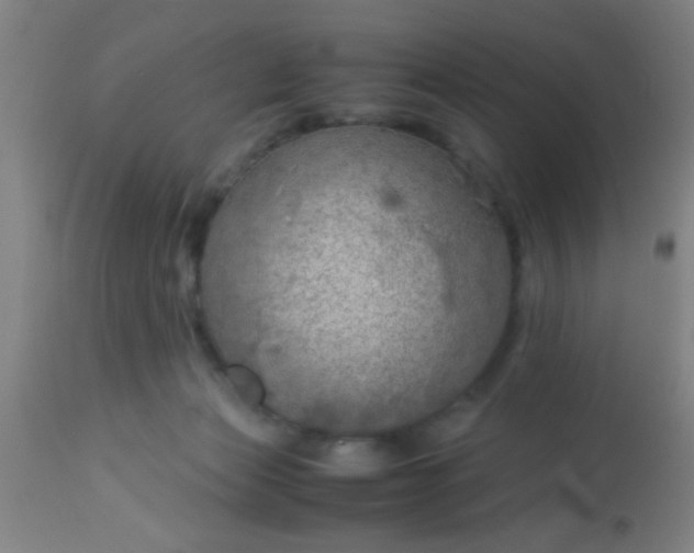 X0000114170173200910221659