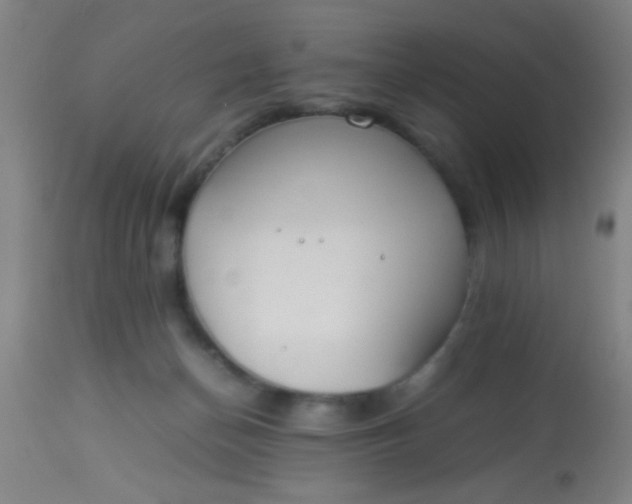 X0000114170174200910221659