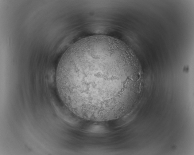 X0000114170175200910221659