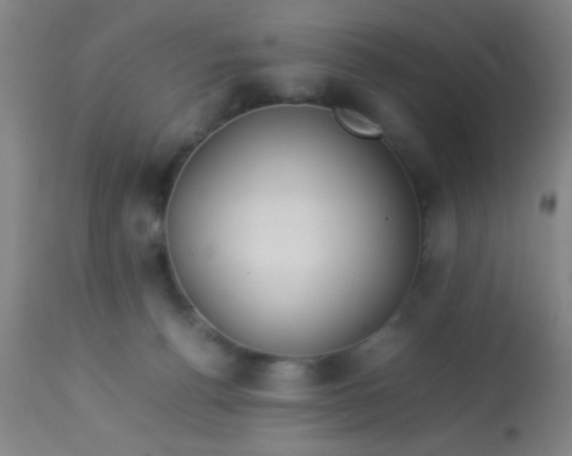 X0000114170176200910221659