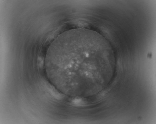 X0000114170177200910221659