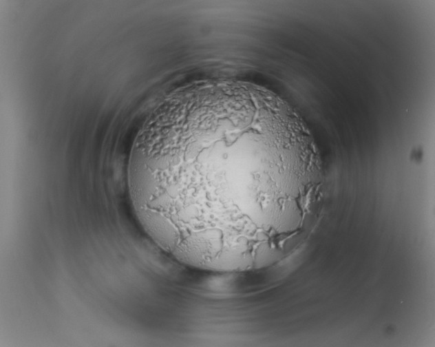 X0000114170178200910221659