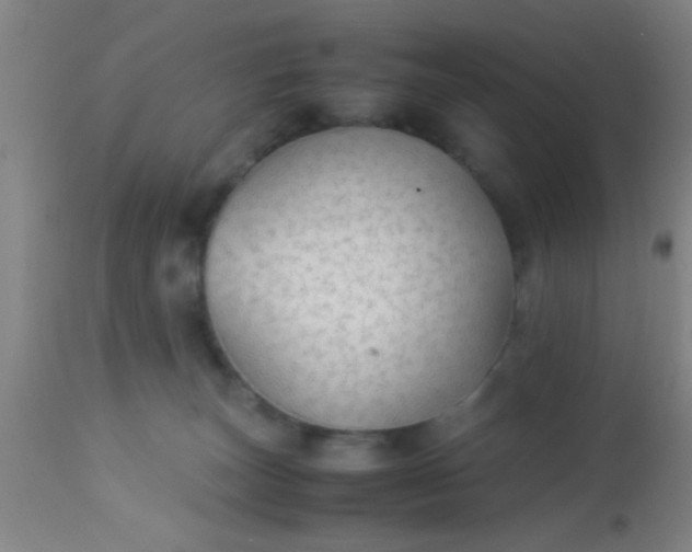 X0000114170179200910221659