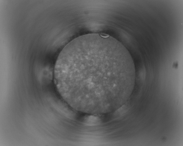 X0000114170180200910221659