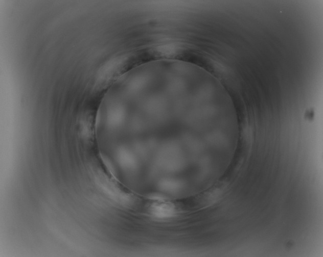 X0000114170181200910221659