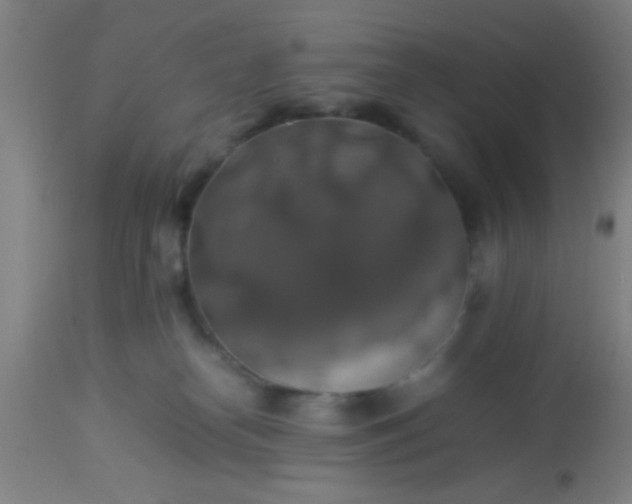 X0000114170182200910221659