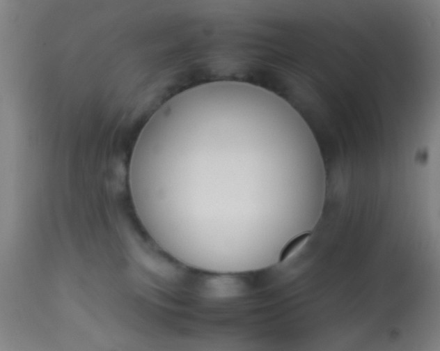 X0000114170183200910221659