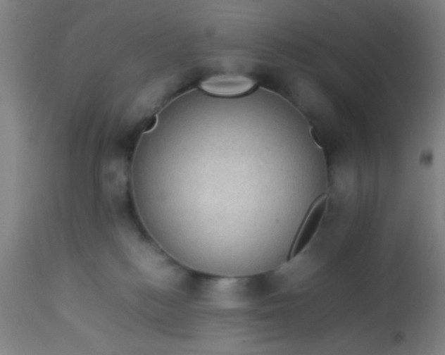 X0000114170184200910221659