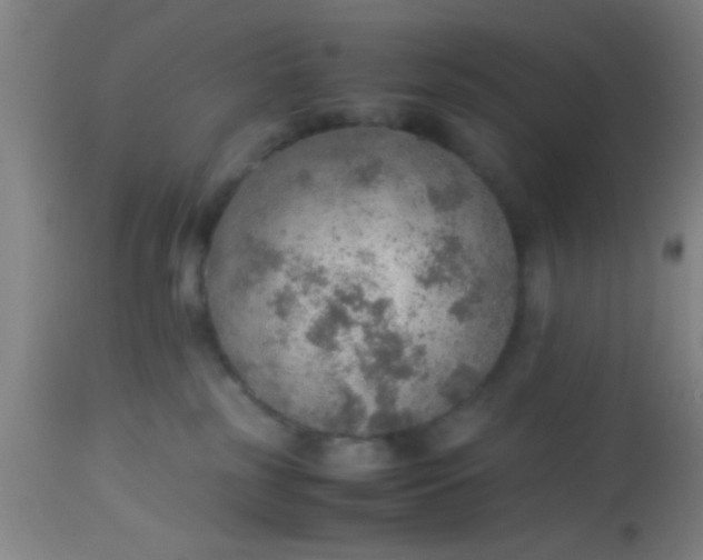 X0000114170185200910221659