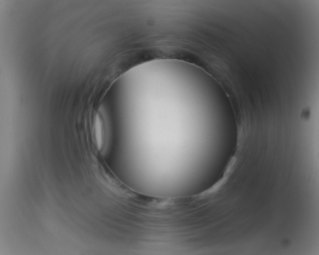 X0000114170186200910221659