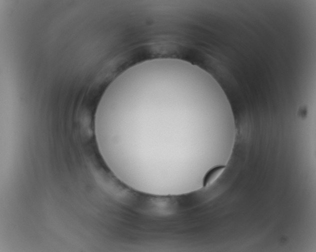 X0000114170187200910221659