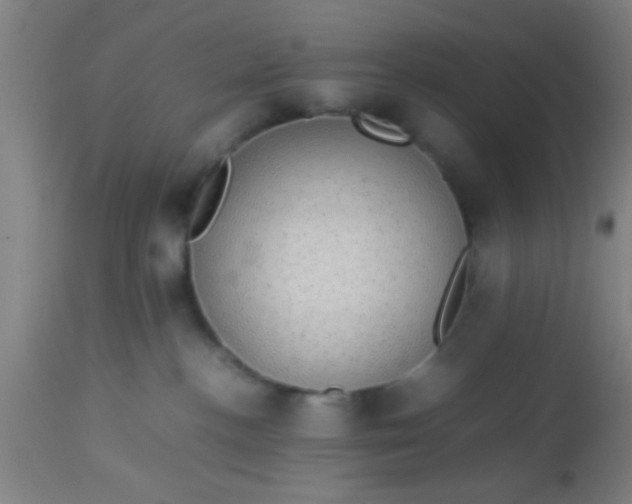 X0000114170188200910221659