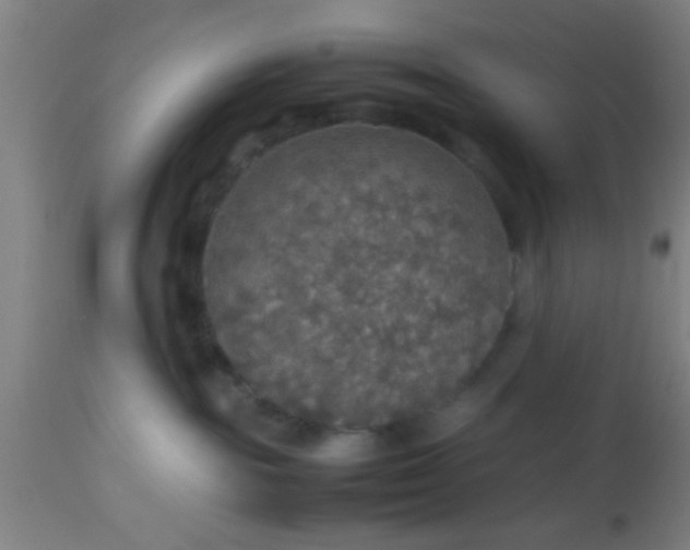 X0000114170189200910221659