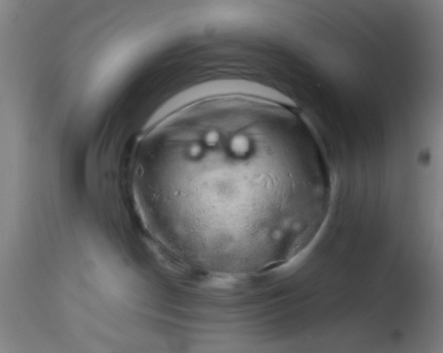 X0000114170190200910221659