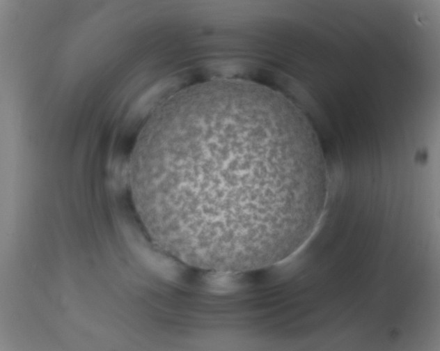 X0000114170191200910221659