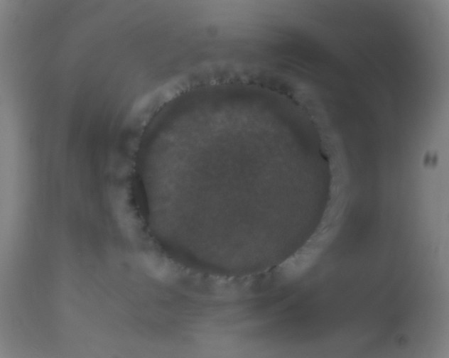 X0000114170192200910221659