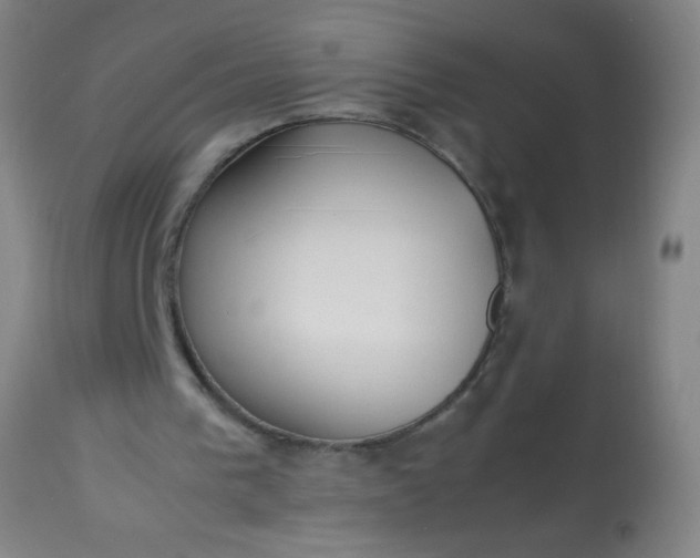 X0000114170193200910221659