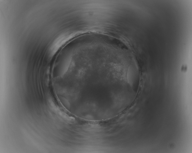 X0000114170194200910221658