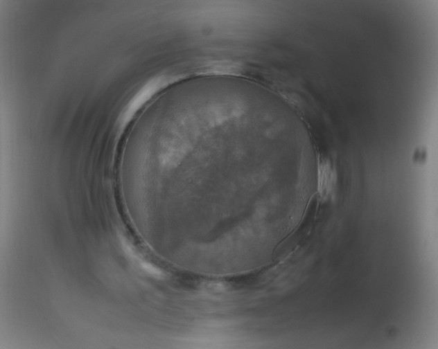 X0000114170195200910221658