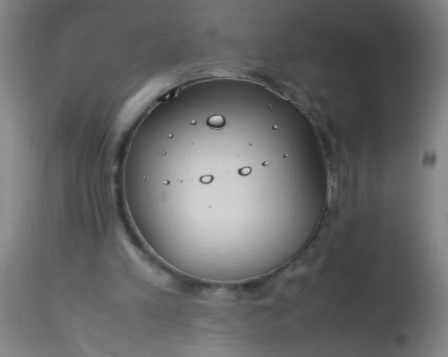 X0000114170197200910221658