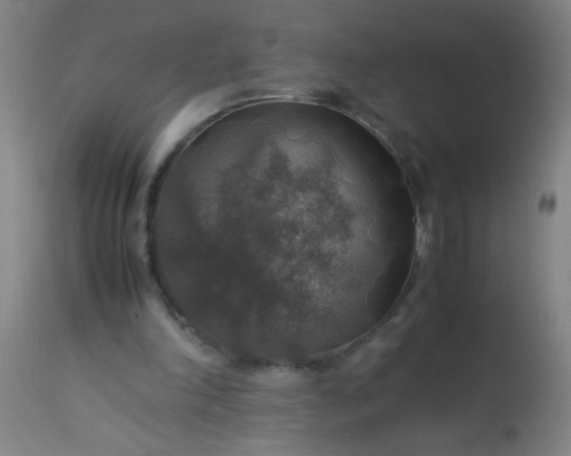 X0000114170198200910221658