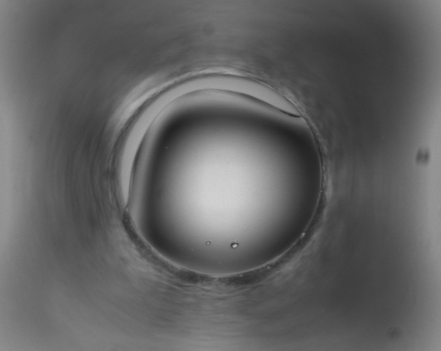 X0000114170199200910221658