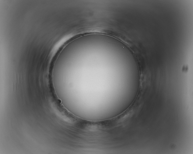 X0000114170200200910221658