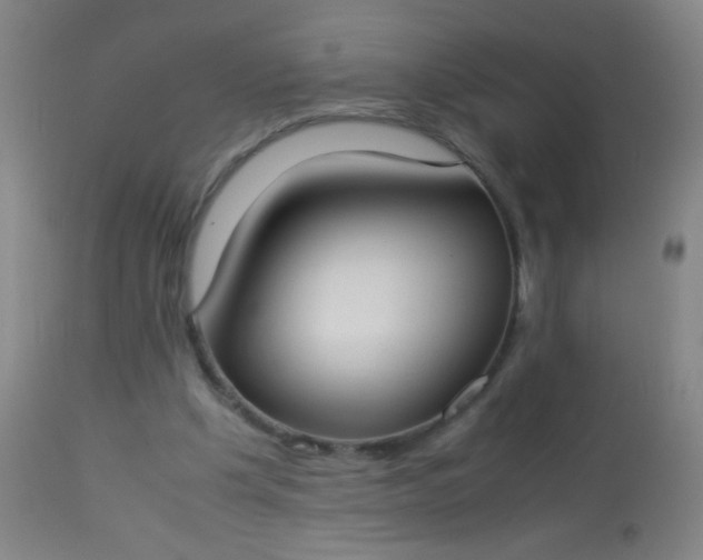 X0000114170201200910221658