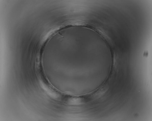 X0000114170202200910221658