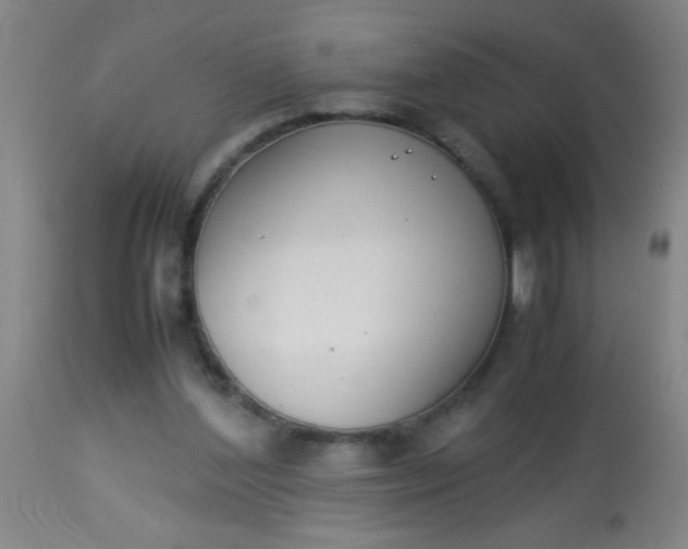 X0000114170204200910221658