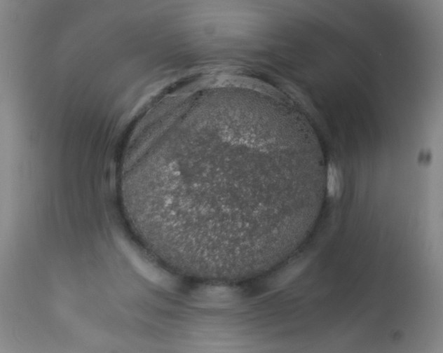 X0000114170205200910221658