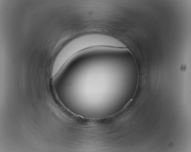 X0000114170207200910221658