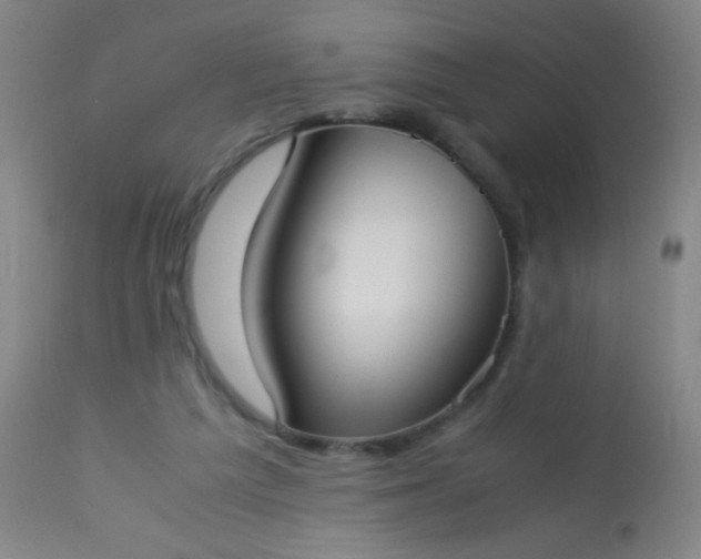 X0000114170209200910221658