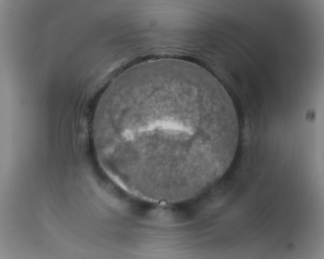 X0000114170211200910221658