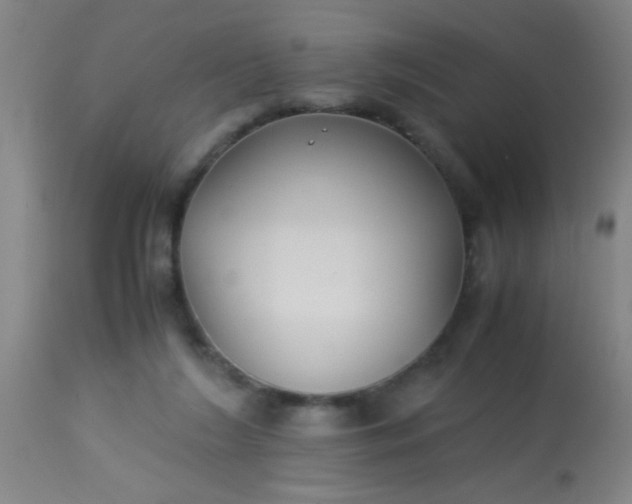 X0000114170212200910221658