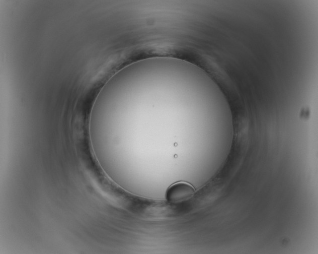 X0000114170213200910221658