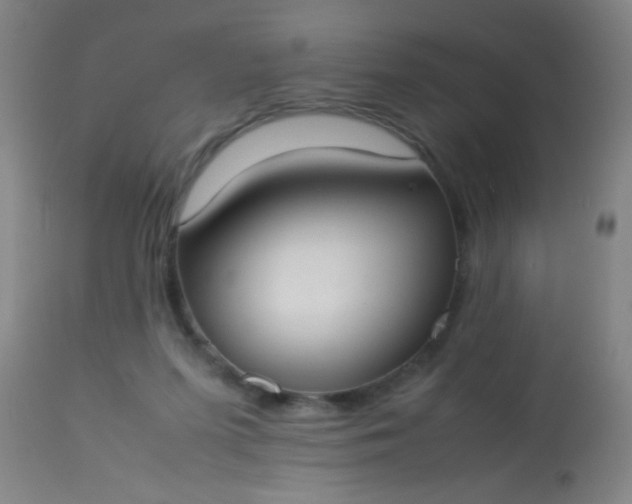 X0000114170215200910221658