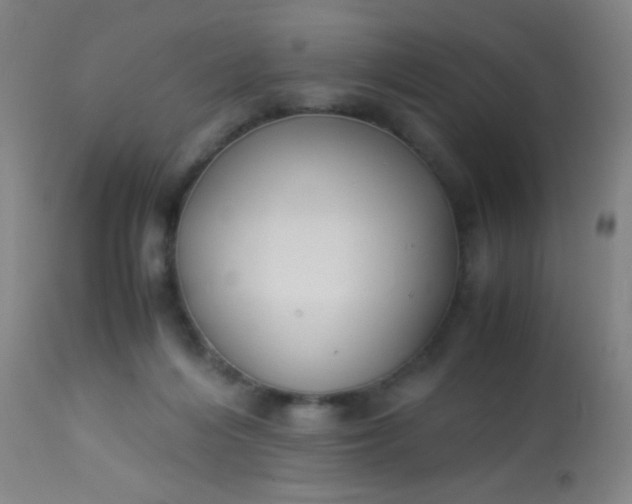 X0000114170216200910221658