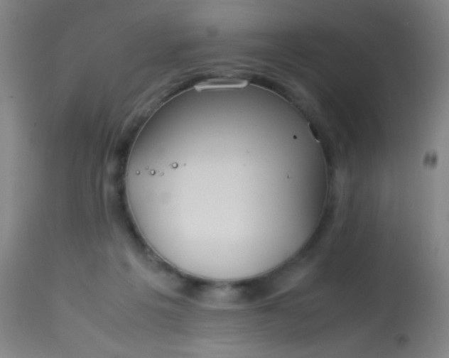 X0000114170217200910221658