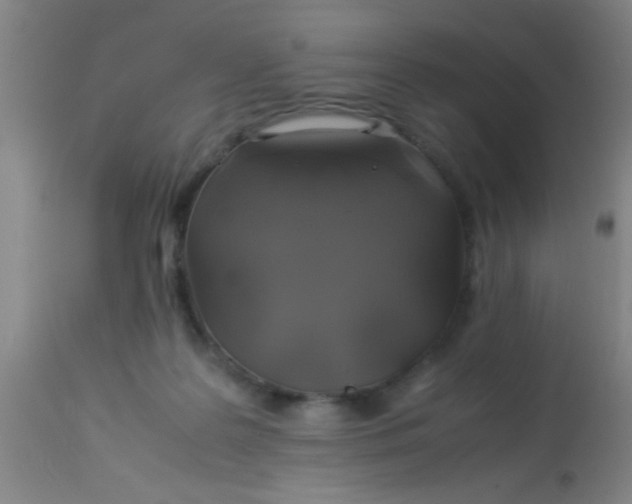 X0000114170219200910221658