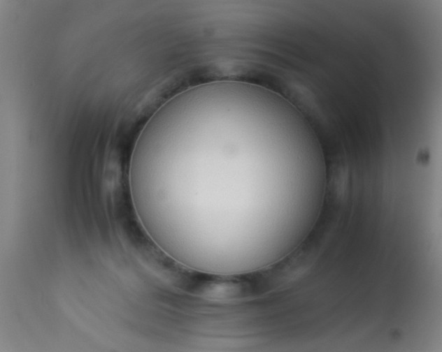 X0000114170220200910221658