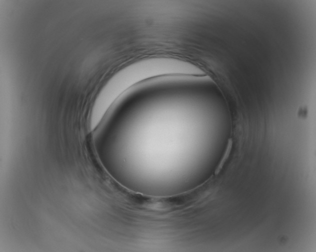 X0000114170221200910221658