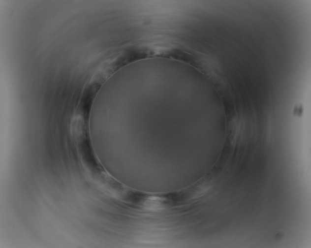 X0000114170222200910221658