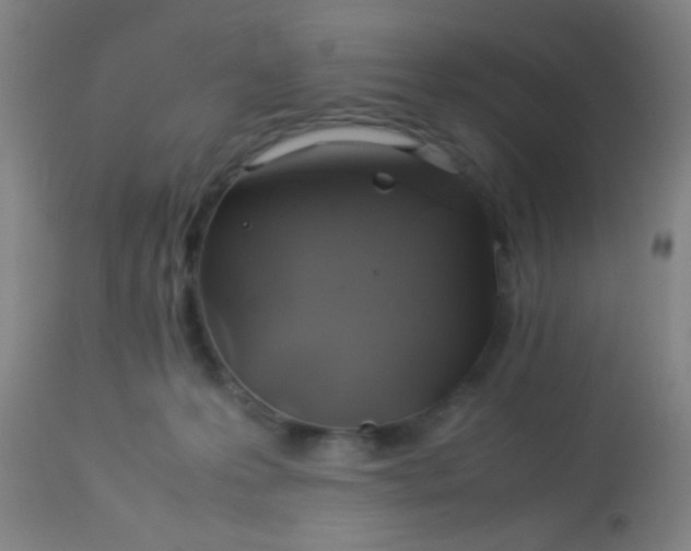 X0000114170223200910221658